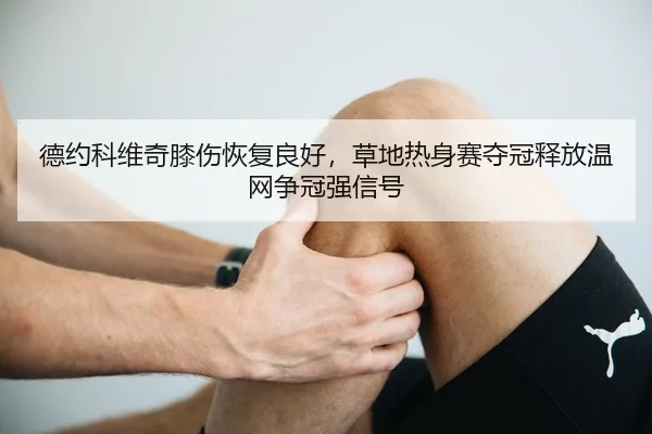 de-yue-ke-wei-qi-xi-shang-hui-fu-liang-hao-cao-di-re-shen-sai-duo-guan-shi-fang-wen-wang-zheng-guan-qiang-xin-hao-3-407.jpg