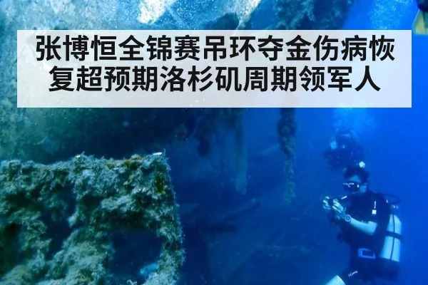 张博恒全锦赛吊环夺金伤病恢复超预期洛杉矶周期领军人